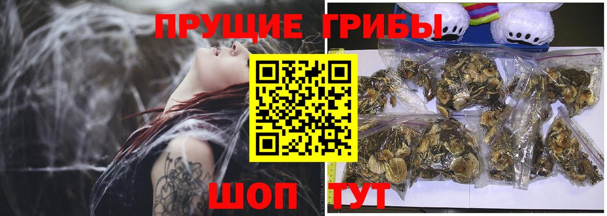 Псилоцибиновые грибы GOLDEN TEACHER  Вход с VPN  Сибай  Псилоцибиновые грибы ЛСД 